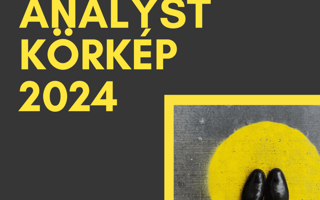 Business Analyst Körkép 2024