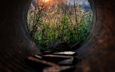 MVP és scope az üzleti elemző szemével